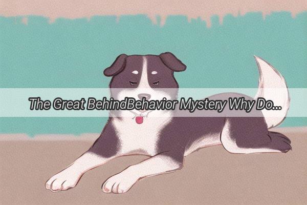 The Great BehindBehavior Mystery Why Does My Dog Do That